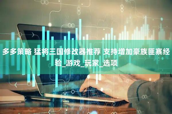 多多策略 猛将三国修改器推荐 支持增加豪族匪寨经验_游戏_玩家_选项