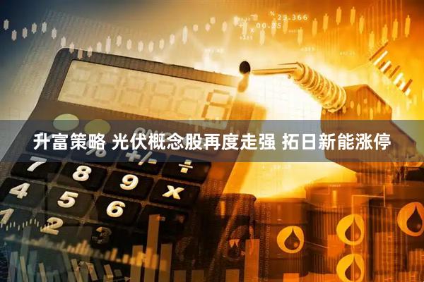 升富策略 光伏概念股再度走强 拓日新能涨停