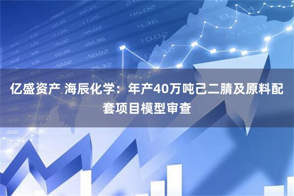 亿盛资产 海辰化学：年产40万吨己二腈及原料配套项目模型审查